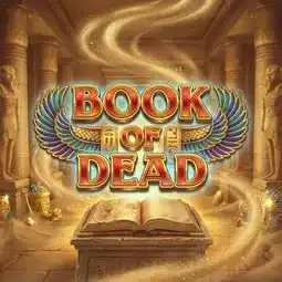 Book of Dead gra w Vavada Casino dla graczy z Poland